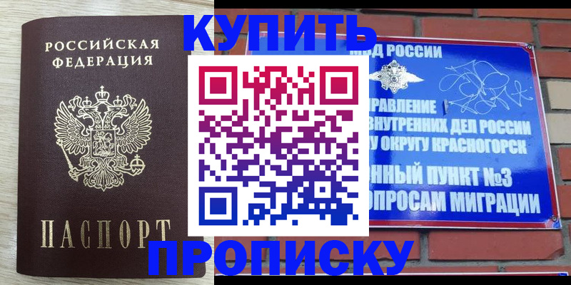 прописка гарантия в Хвалынске